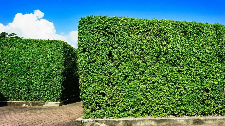 现代建筑园林景观设计