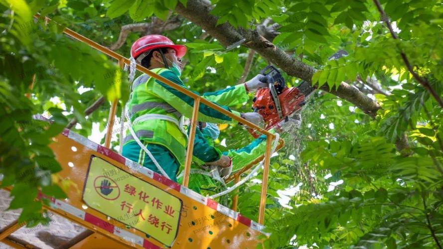 梅州做绿化工程
