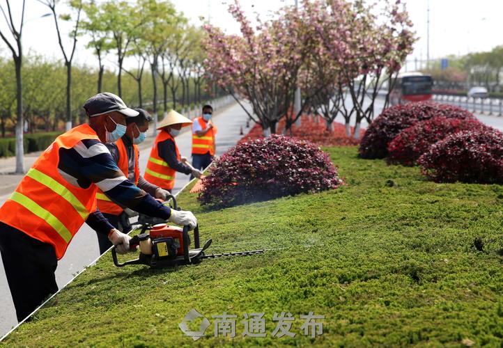 白云大道隧道绿化工程