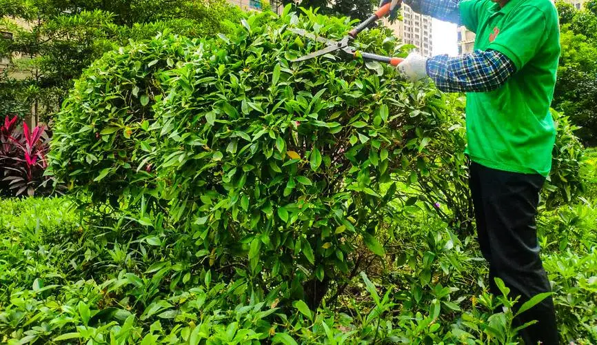园林绿化资质取消,承揽范围如何确定（园林绿化资质取消,承揽范围如何确定）